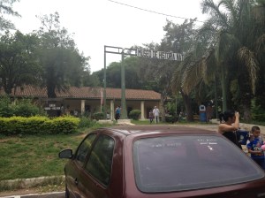 museum natural history