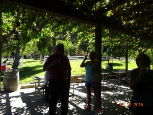 rancho Sisquoc winery